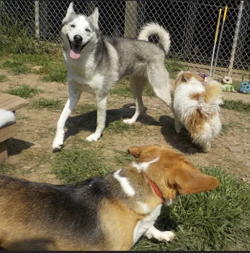 Dog Mountain Lodge - Image 1