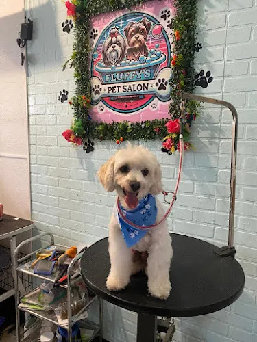 Fluffy’s Pet Salon - Image 1