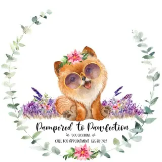 Pampered To Pawfection Dog Grooming by heidi shuster - Image 1
