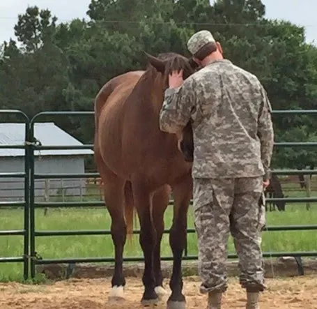 Manna Hana Riding Center - Image 1
