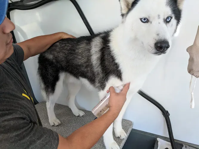 christian's mobile pet grooming - Image 1