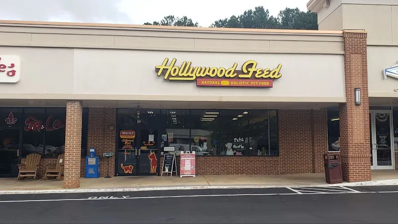 Hollywood Feed - Image 1