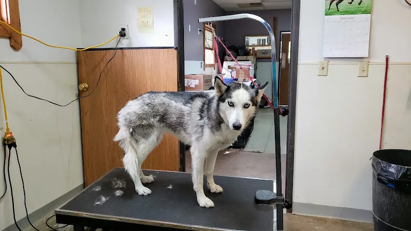 Oxford Pet Retreat in Oxford, OH