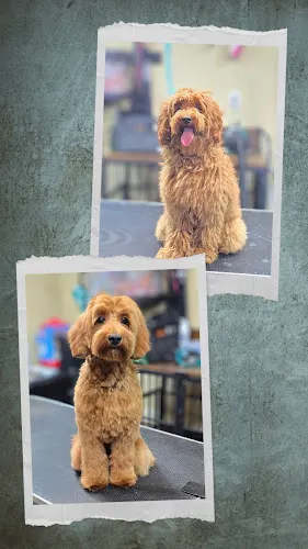 Maralyn's Pet Services LLC - Image 1