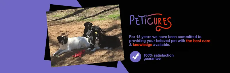 Peticures - Dog Nail Trimming - Image 1