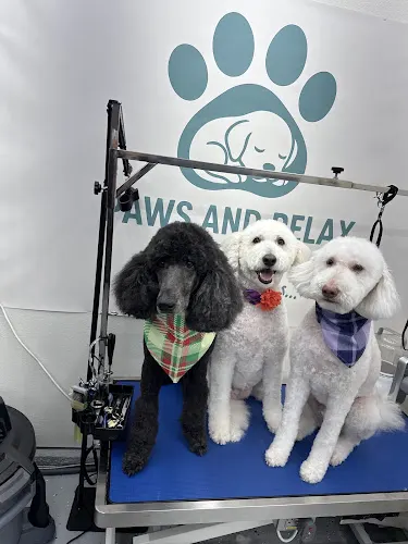 Paws and Relax Mansfield - Image 1