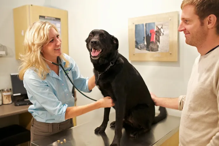 Your Pets Wellness (Bucktown), A Thrive Pet Healthcare Partner - Image 1
