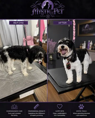 Mystic Pet LLC. - Image 1
