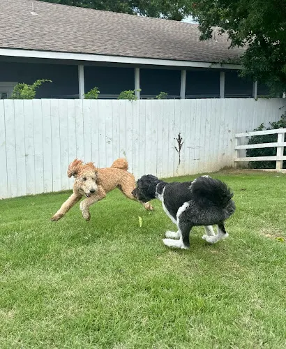 Fetch Me Later - Image 1