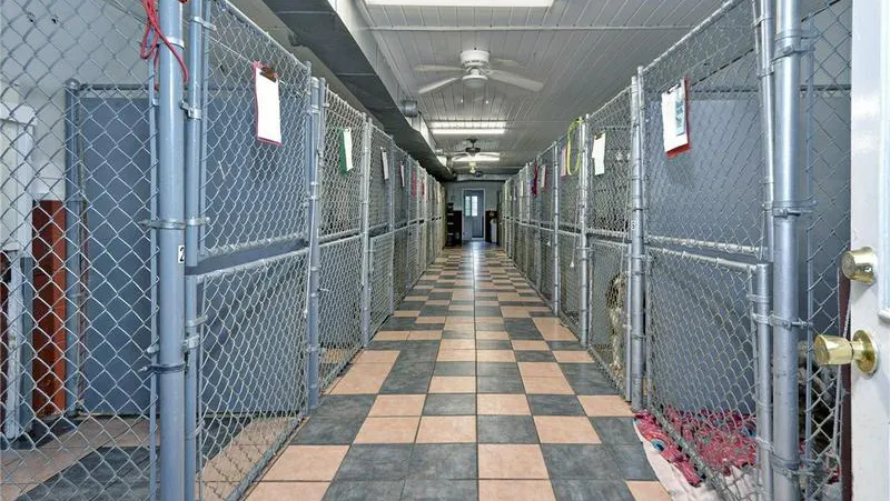Sandy Creek Pet Resort in James Store, VA