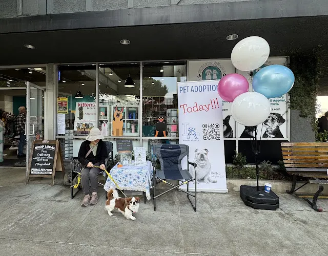 Tailwaggers & Tailwashers Larchmont Village - Image 1