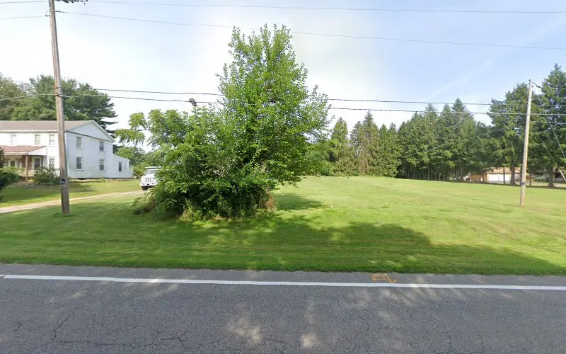 Pine Lane Grooming - Image 1
