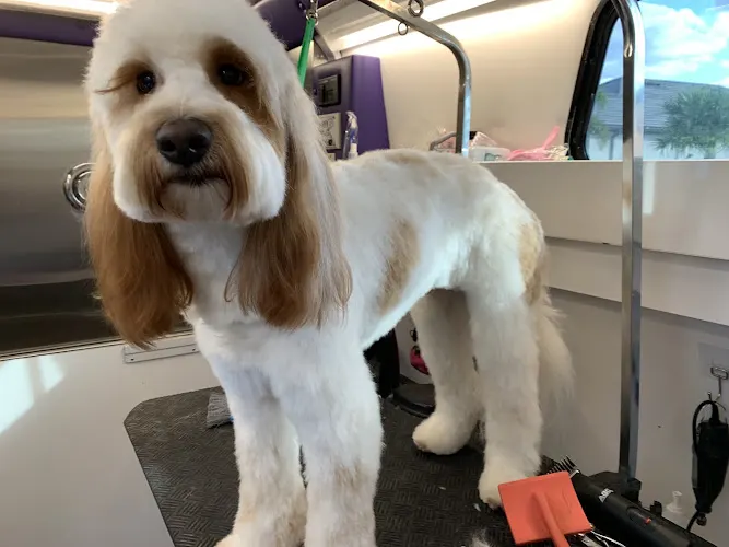 Sit Pretty Mobile Grooming - Image 1