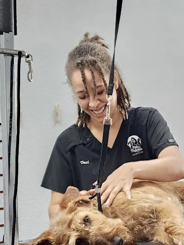 Pets of Perfection in Boynton Beach, FL