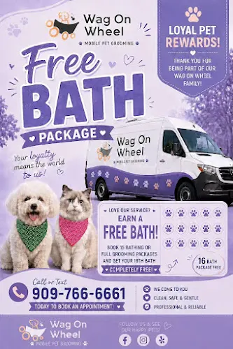 Wag ON Wheel Mobile Pet Grooming - Image 1