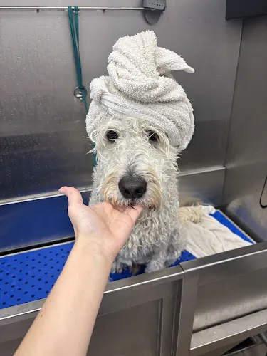 Pet Supplies Plus La Grange Grooming - Image 1
