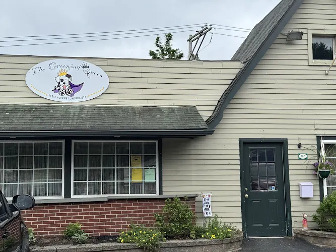 The Grooming Queen of Milford - Image 1