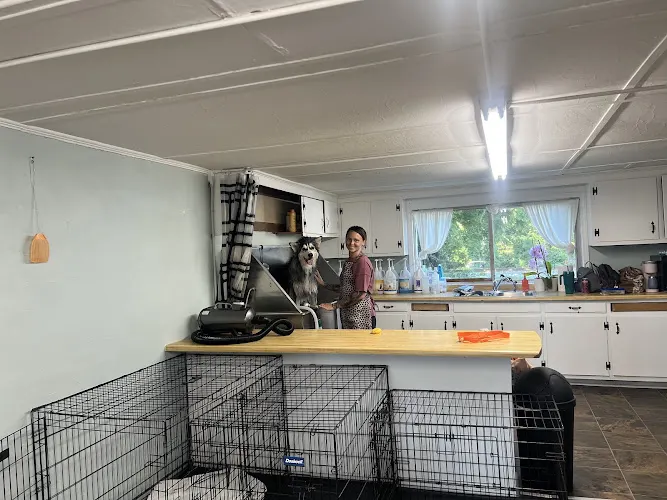 Star Paws Grooming LLC in Woodruff, SC