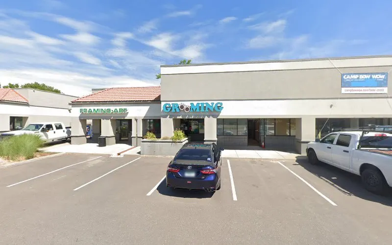 Professional Dog & Cat Grooming in Lakewood, CO