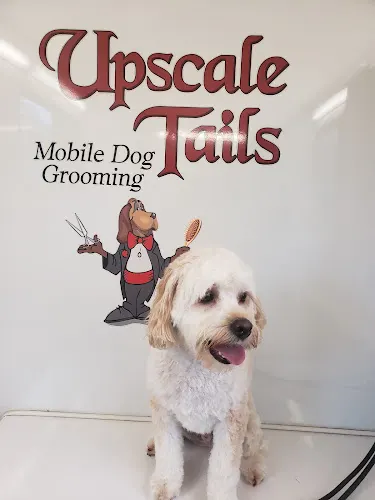 Upscale Tails Mobile Dog Grooming - Image 1