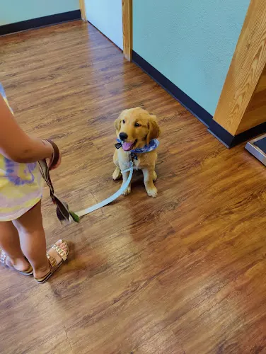 College Way Animal Hospital, A Thrive Pet Healthcare Partner - Image 1