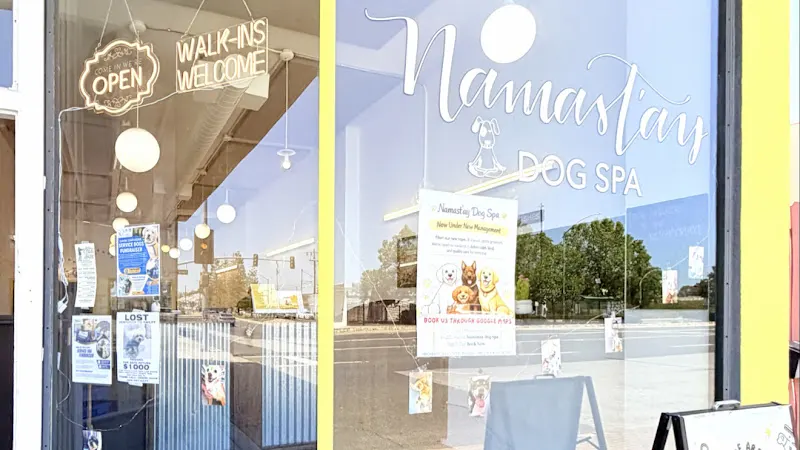 Namast'ay Dog Spa | San Mateo & Belmont Dog Grooming - Image 1