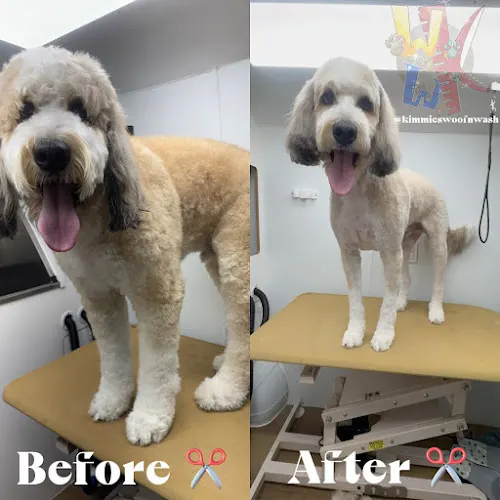 Kimmie's Woof n' Wash in Irvine, CA