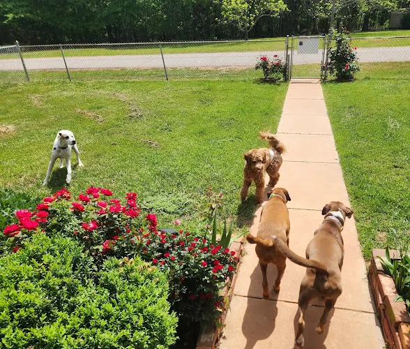 Hartwell Pet Daycare LLC - Image 1
