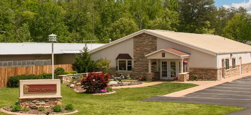 Calypso Kennels - Image 1