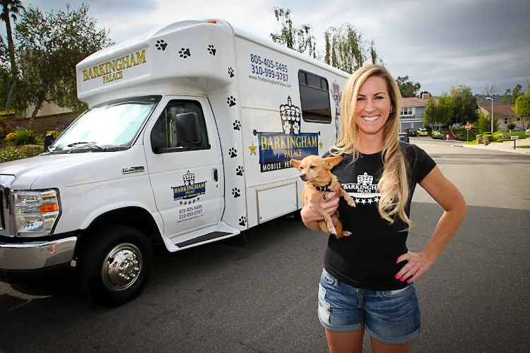 Barkingham Palace | mobile pet styling spa - Image 1