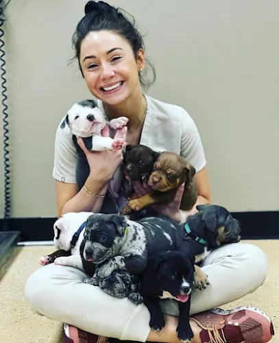Harahan Veterinary Hospital - Image 1