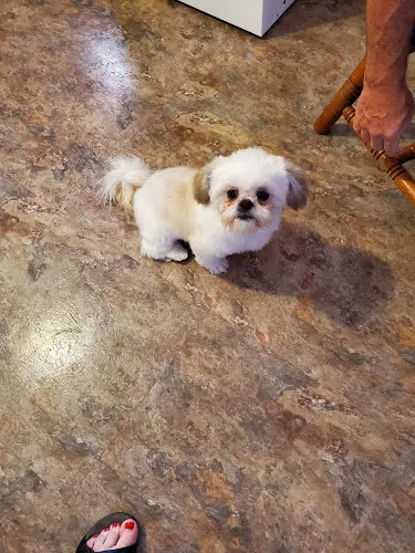 Sprinkle's Grooming - Image 1