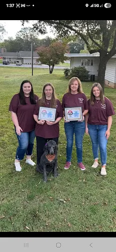 Doggie Days Pet Grooming & Boarding LLC - Image 1