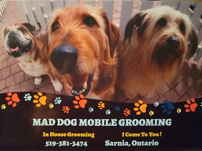Mad Dog Mobile Grooming - in home Grooming - Image 1