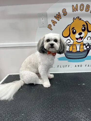 Love 4 paws mobile grooming - Image 1