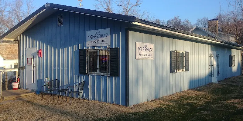 The Dog Groomer LLC - Image 1
