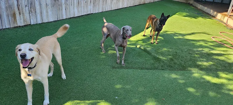 Bridget's Pet Resort - Image 1