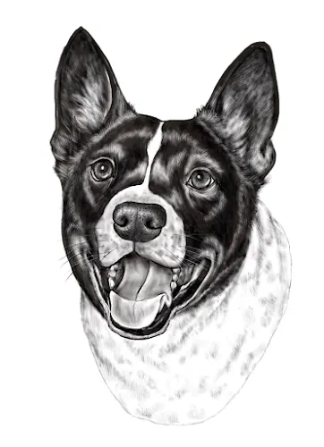 Knotty Dog Mobile Grooming - Image 1