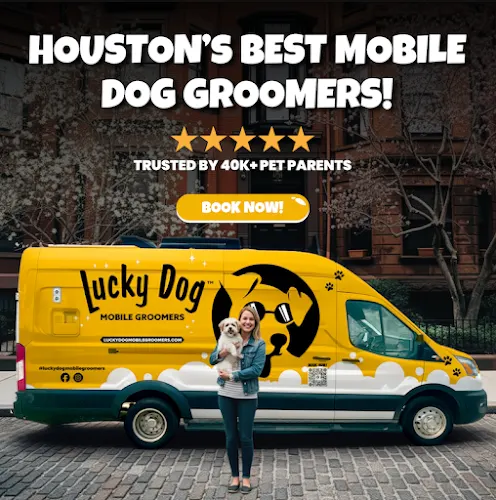 Lucky Dog Mobile Groomers - Houston, TX - Image 1