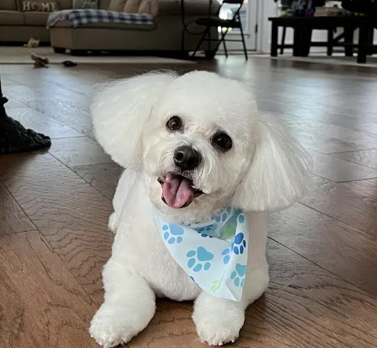 Maddie's Mobile Makeovers LLC - Image 1