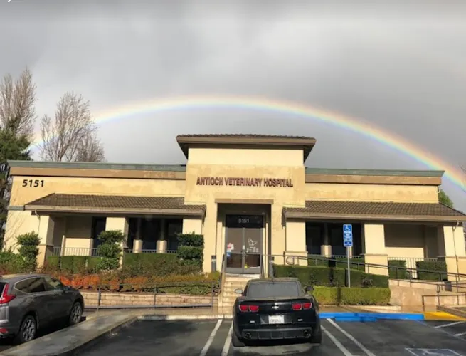 VCA Antioch Animal Hospital - Deer Valley - Image 1