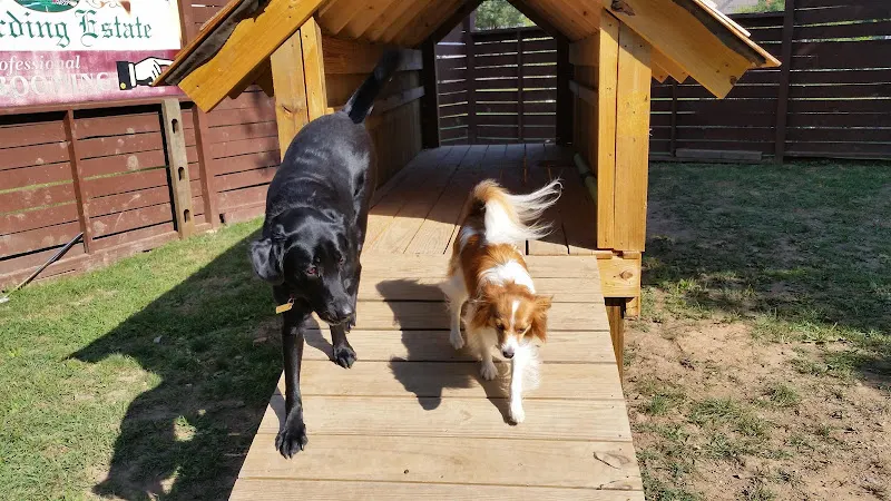 Yetto's Bed & Biscuit - Image 1
