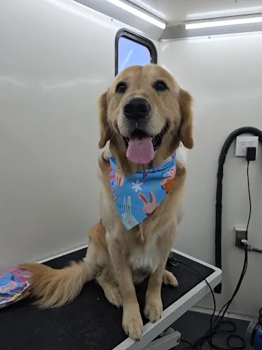 PARK N BARK MOBILE DOG GROOMING ZEPHYRHILLS in Dade City, FL