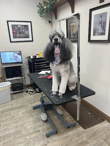 Fancy Tales Mobile Grooming - Image 1