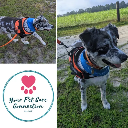 PetWise Professionals (Your Pet Care Connection LLC) - Image 1