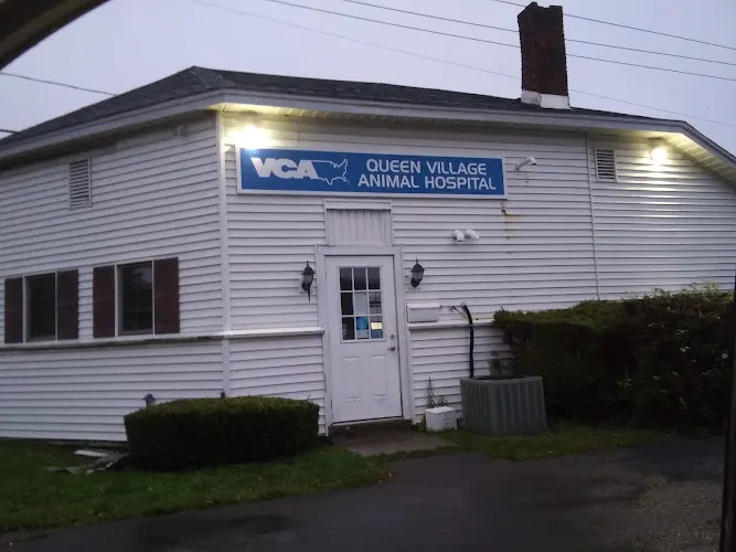 Queen Village Animal Hospital - Image 1