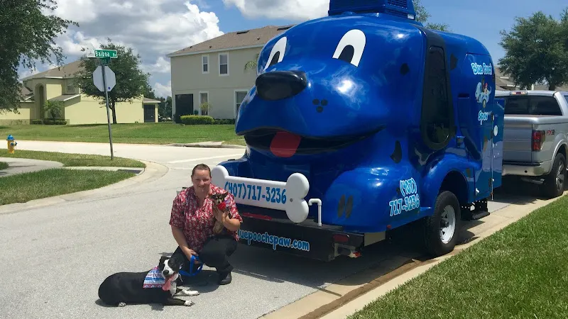 Blue Pooch Spaw Mobile Grooming - Image 1