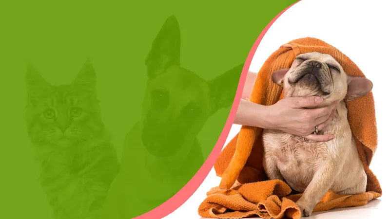Aprils Furry Tail Mobile Pet Grooming - Image 1