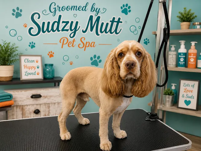 Sudzy Mutt Pet Spa Richlands NC - Image 1