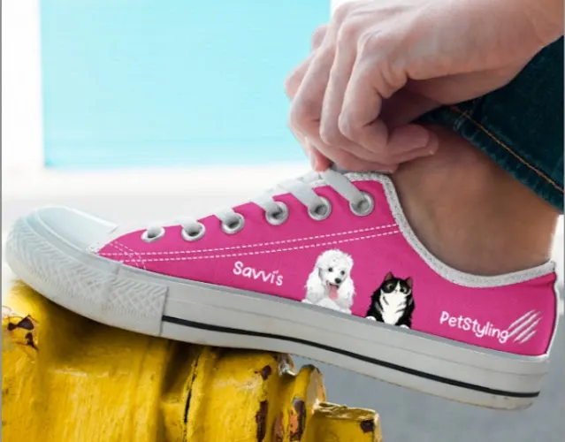 Savvi's Pet Styling Studio - Image 1